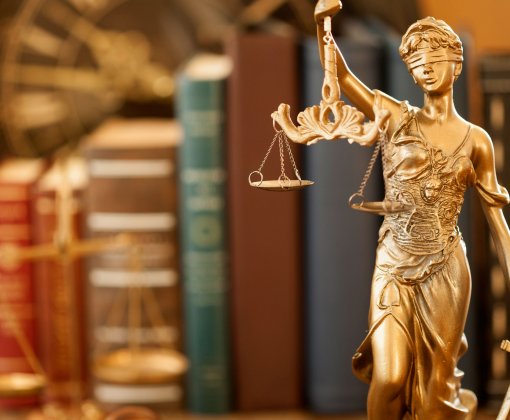  Дело о взыскании с общества предоплату по договору поставки А08-11151/2020 - фото